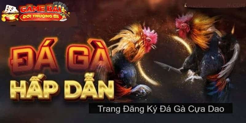 Đá gà cựa dao Philippines